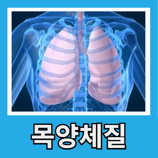 목양체질
