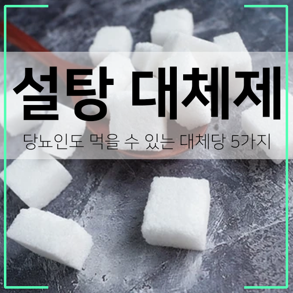 설탕 대체제