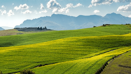 2024 기본형 공익직불금 신청자격 대상 신청방법