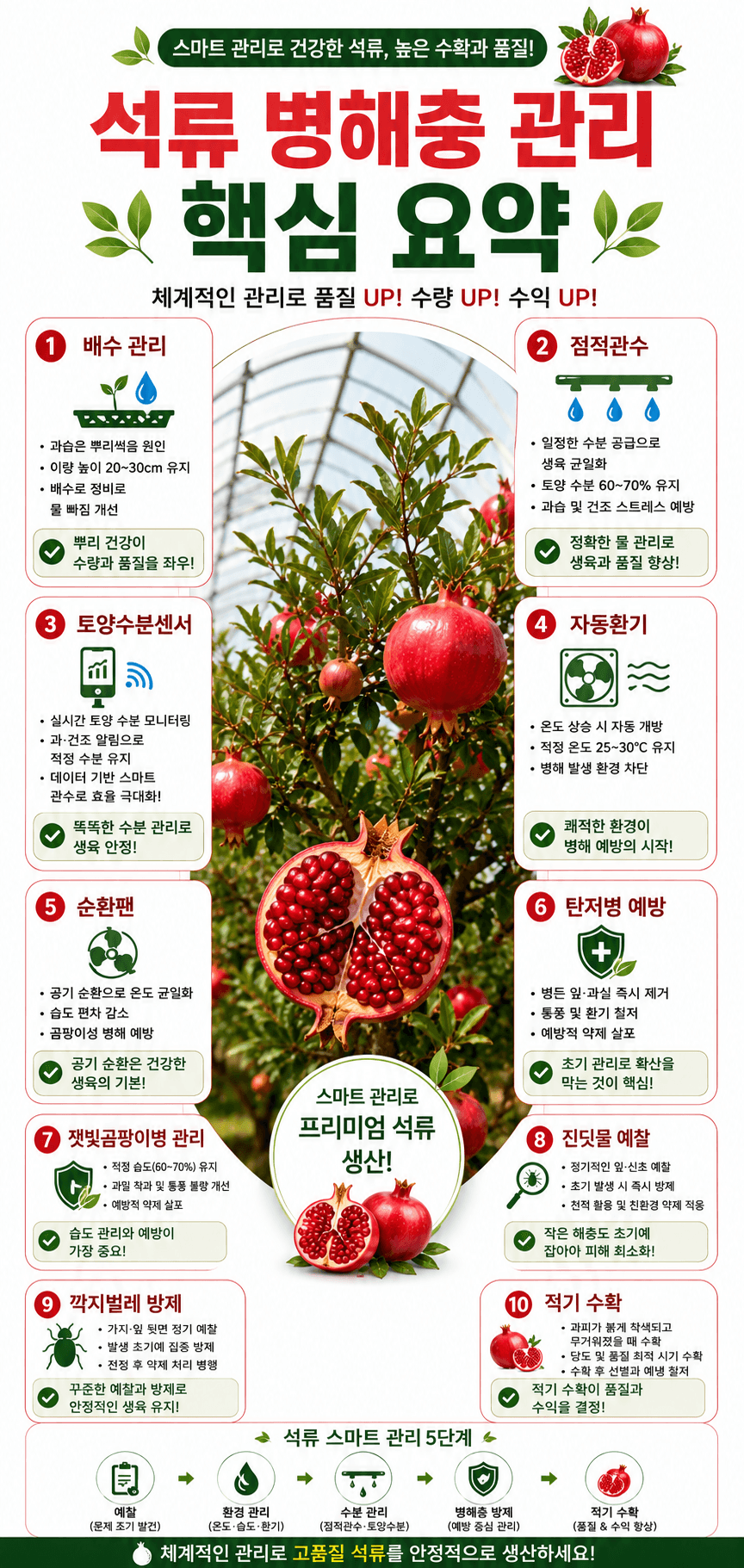 석류 병해충 관리 핵심요약 인포그래픽