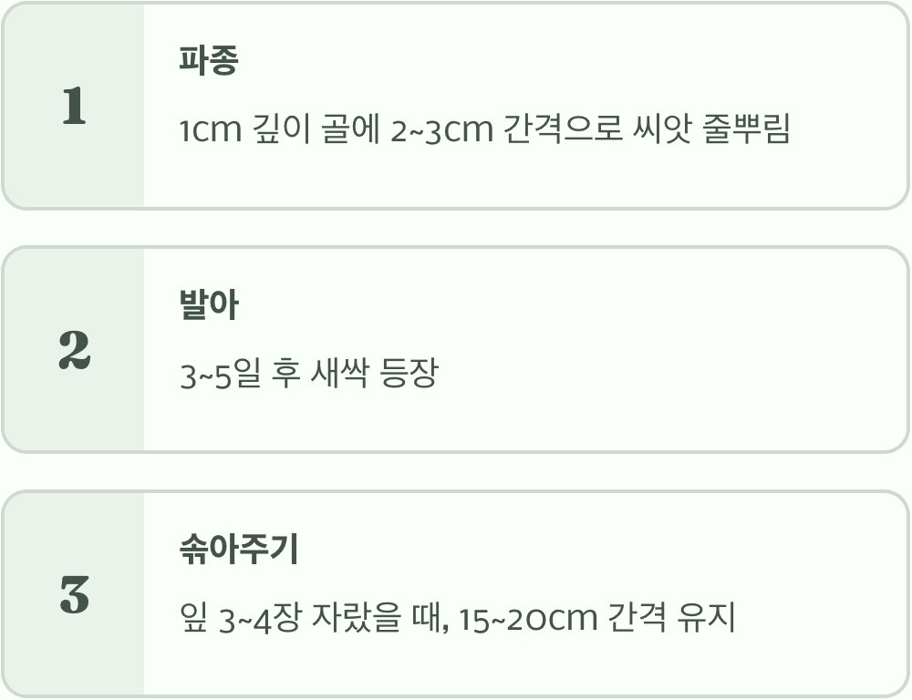 초보자도 OK! 파종과 솎아주기