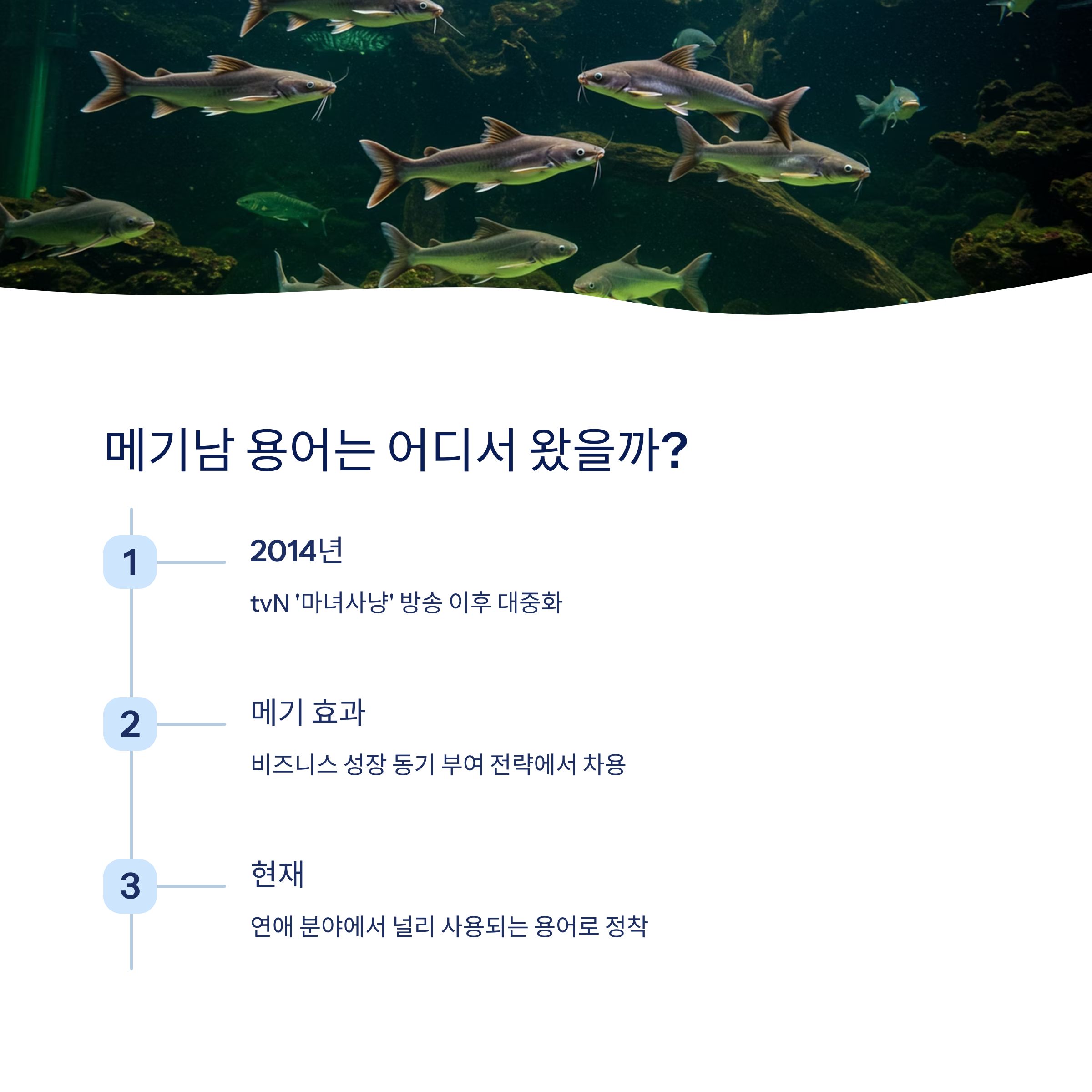 메기남 용어의 유래