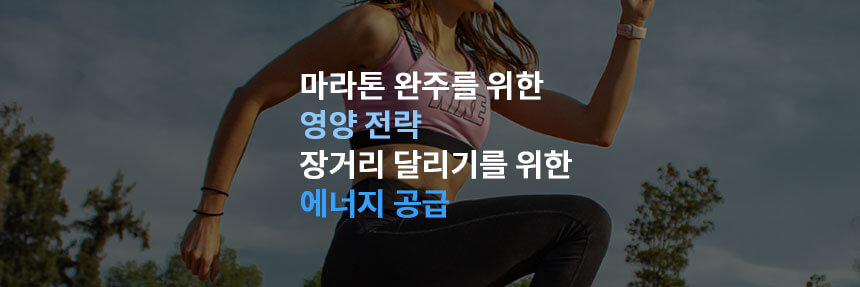 마라톤-완주-영양전략-에너지공급