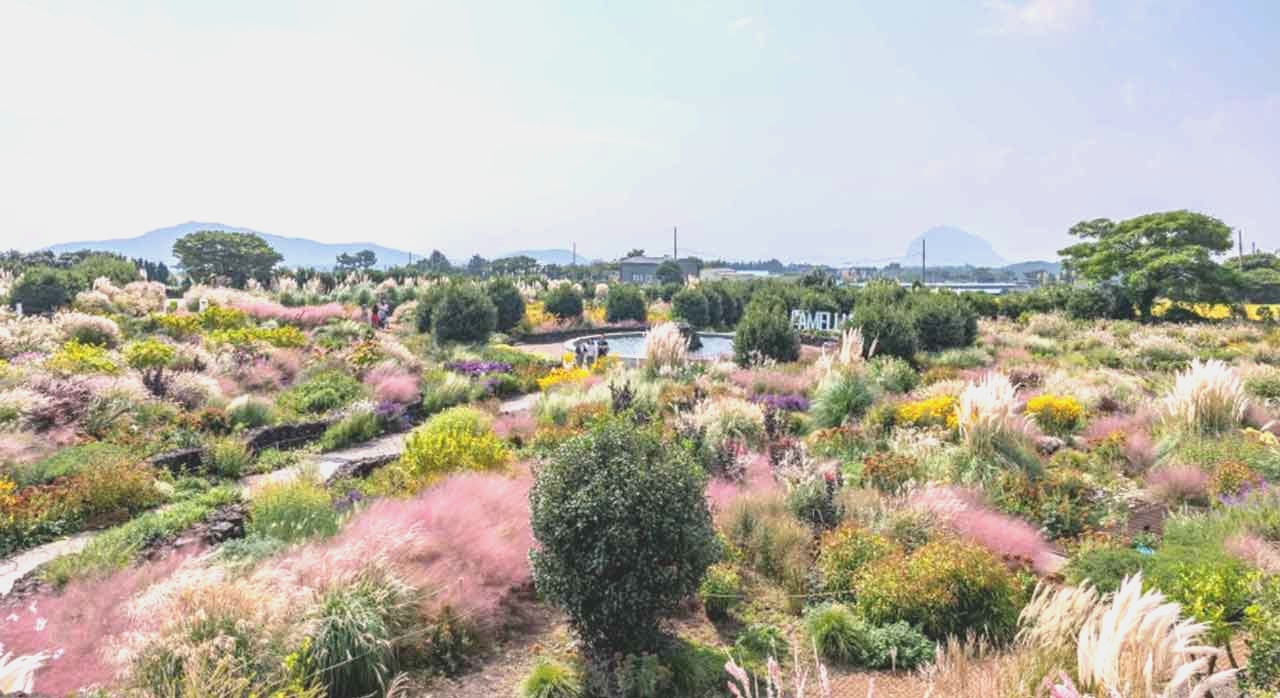 전기차를 타고 가면 할인을 받을 수 있는 카멜리아힐. [ⓒ한국관광공사]