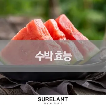 수박 효능_13