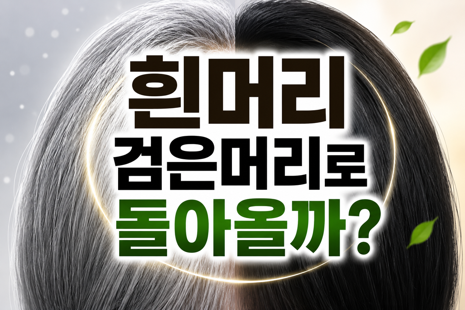 흰머리 검은머리로 돌아올까?