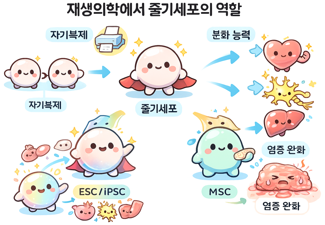 재생의학이란? 줄기세포와의 관계는 무엇일까?