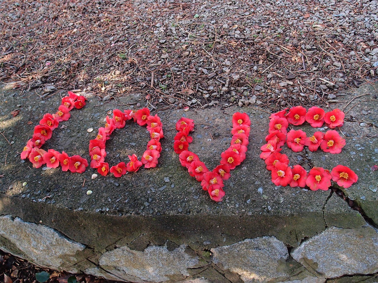 군산시에서 꽃으로 LOVE를 그린 사진