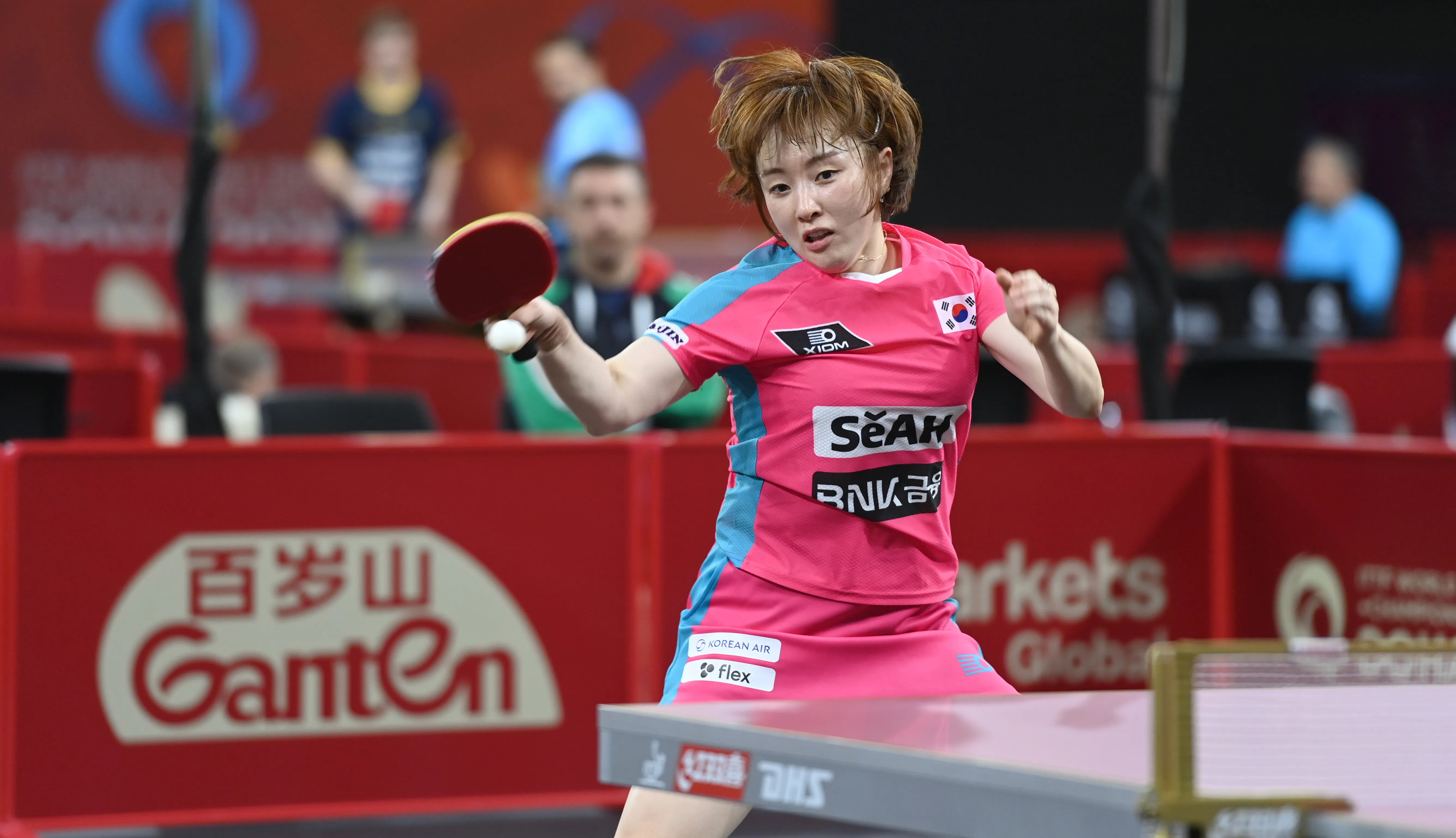 탁구 서효원 국가대표 은퇴 및 지도자 전향 소식 – 30년 탁구 인생, 새로운 시작!