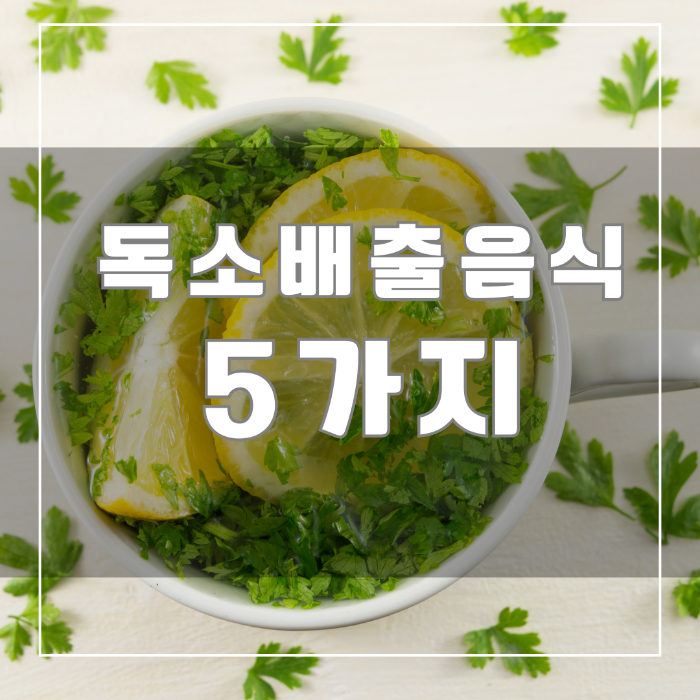 독소배출 음식 5가지