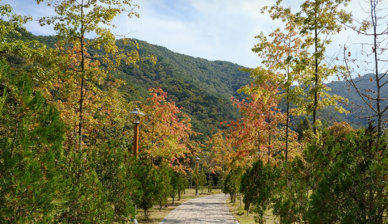 상소동 산림욕장