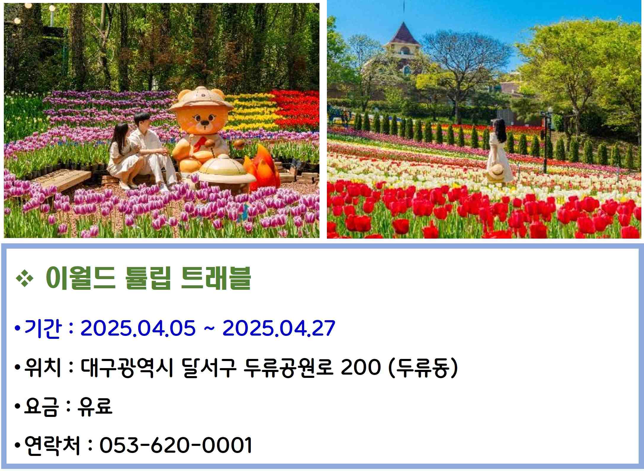 이월드 튤립 트래블