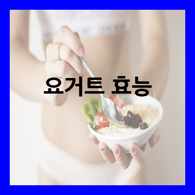 요거트 효능