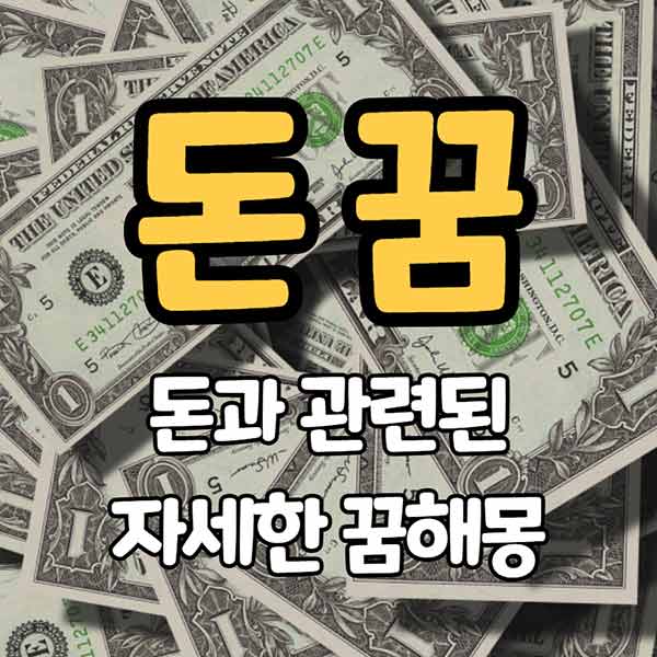 돈꿈- 썸네일 이미지