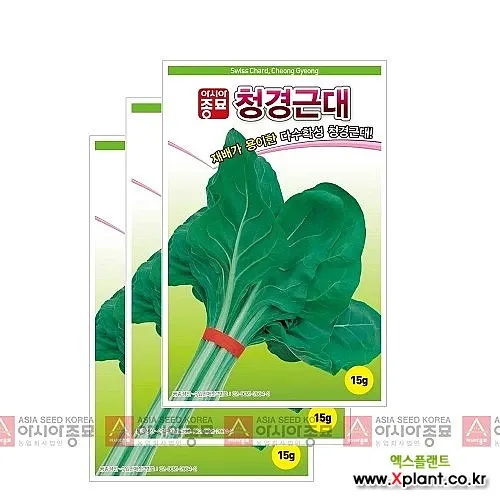 근대 재배 잎 따기 간격 유지 연속 수확_6