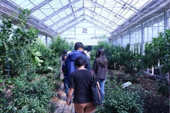 제주도 괸당문화란 유래 역사_27