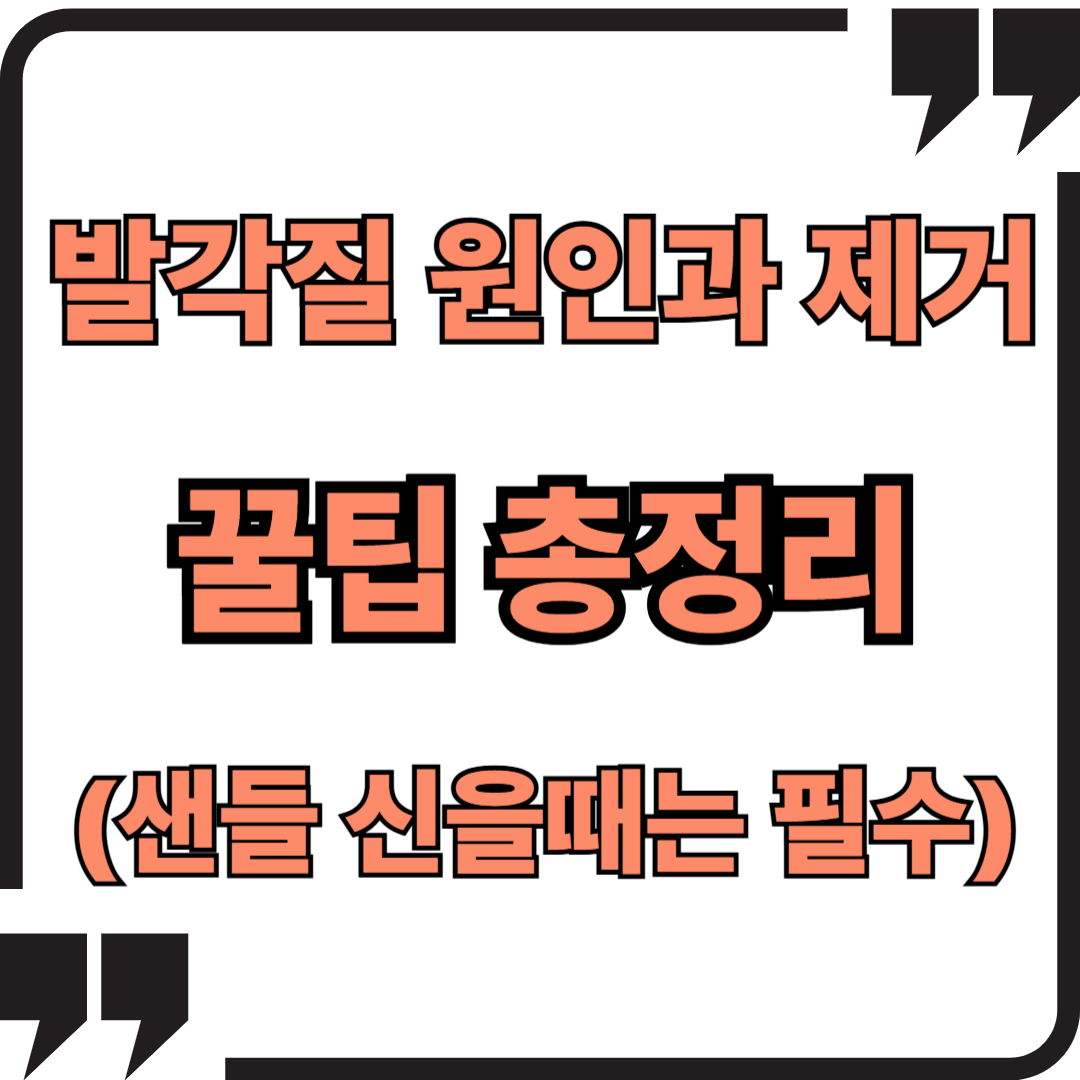 발각질 원인과 제거 꿀팁 총정리