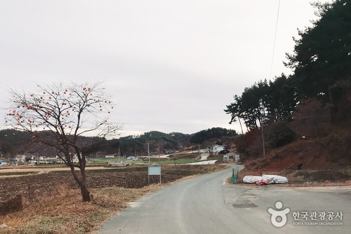 민어도