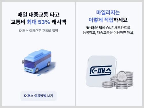 대중교통