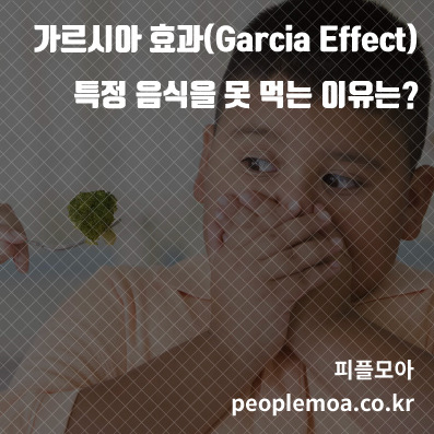 가르시아 효과1