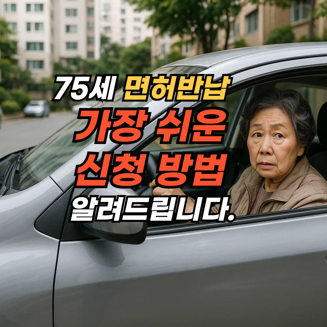 75세 운전면허증 반납