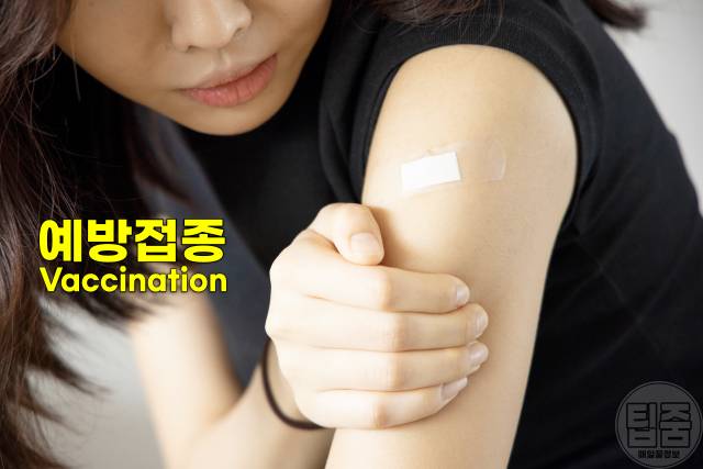 독감 폐렴 b형간염 유행성출혈열 코로나 예방접종 시기 부작용 비용 무료