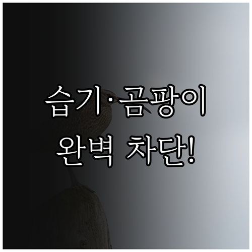 여름철 습기 제거와 곰팡이 차단법 및..