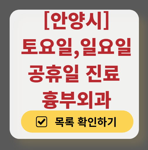 안양시 주말 토요일 일요일 흉부외과 진료 병원 목록 ❘ 공휴일 진료 영업 병원 리스트 찾기