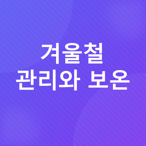 양파 재배_3