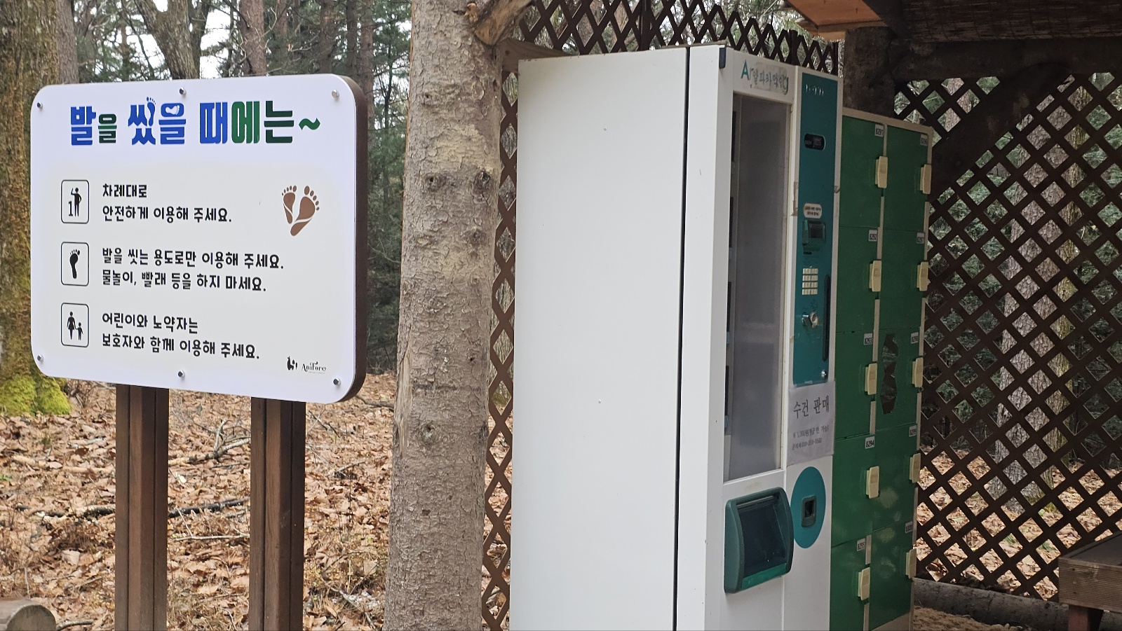 [24.11월] 아이와 평창 #1 - 모나 용평리조트 애니포레🏔️