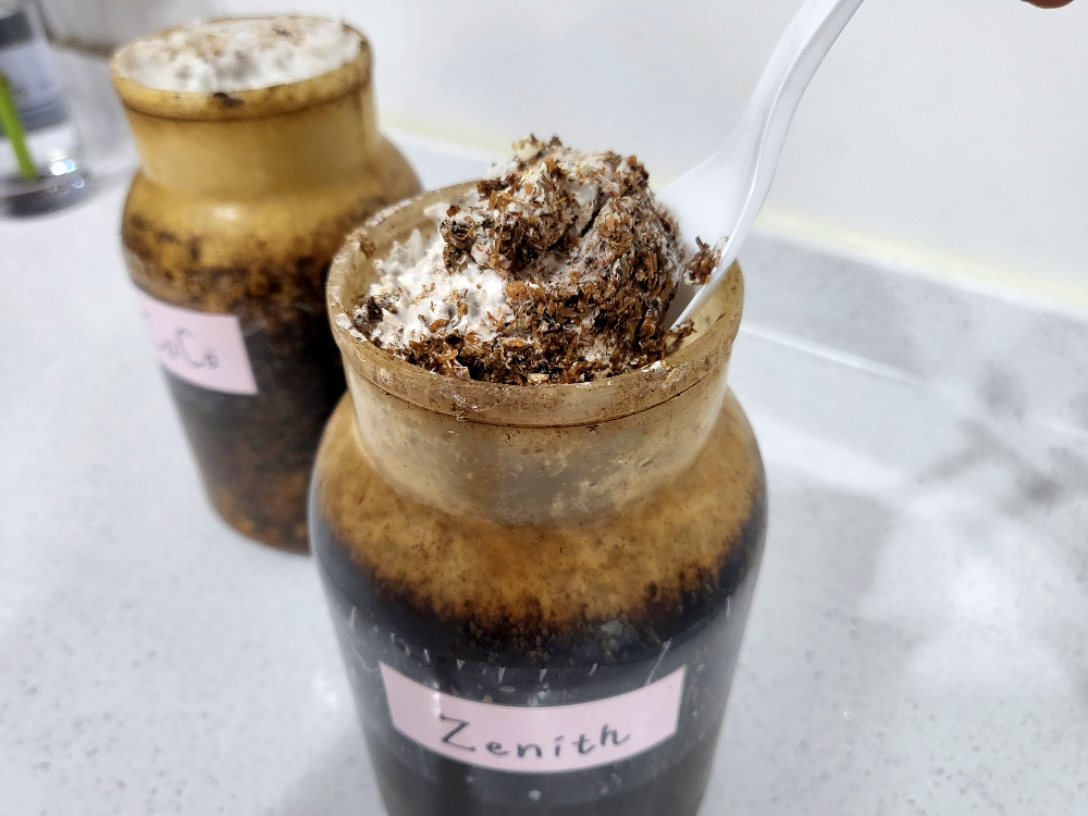 버섯키우기 키트