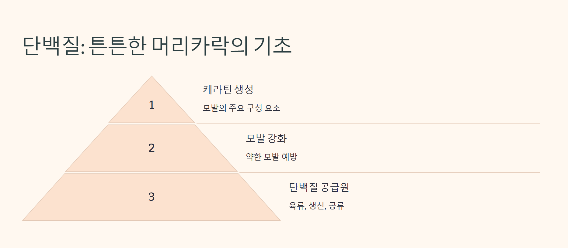 단백질