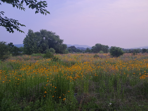 슬로우 트래블 큐레이터