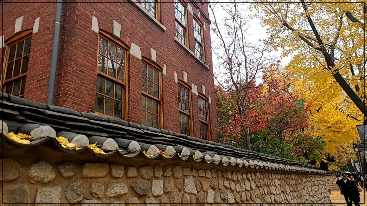 검정기와담벼락과 빨간벽돌 건물의 유리창 은행나무와 단풍나무