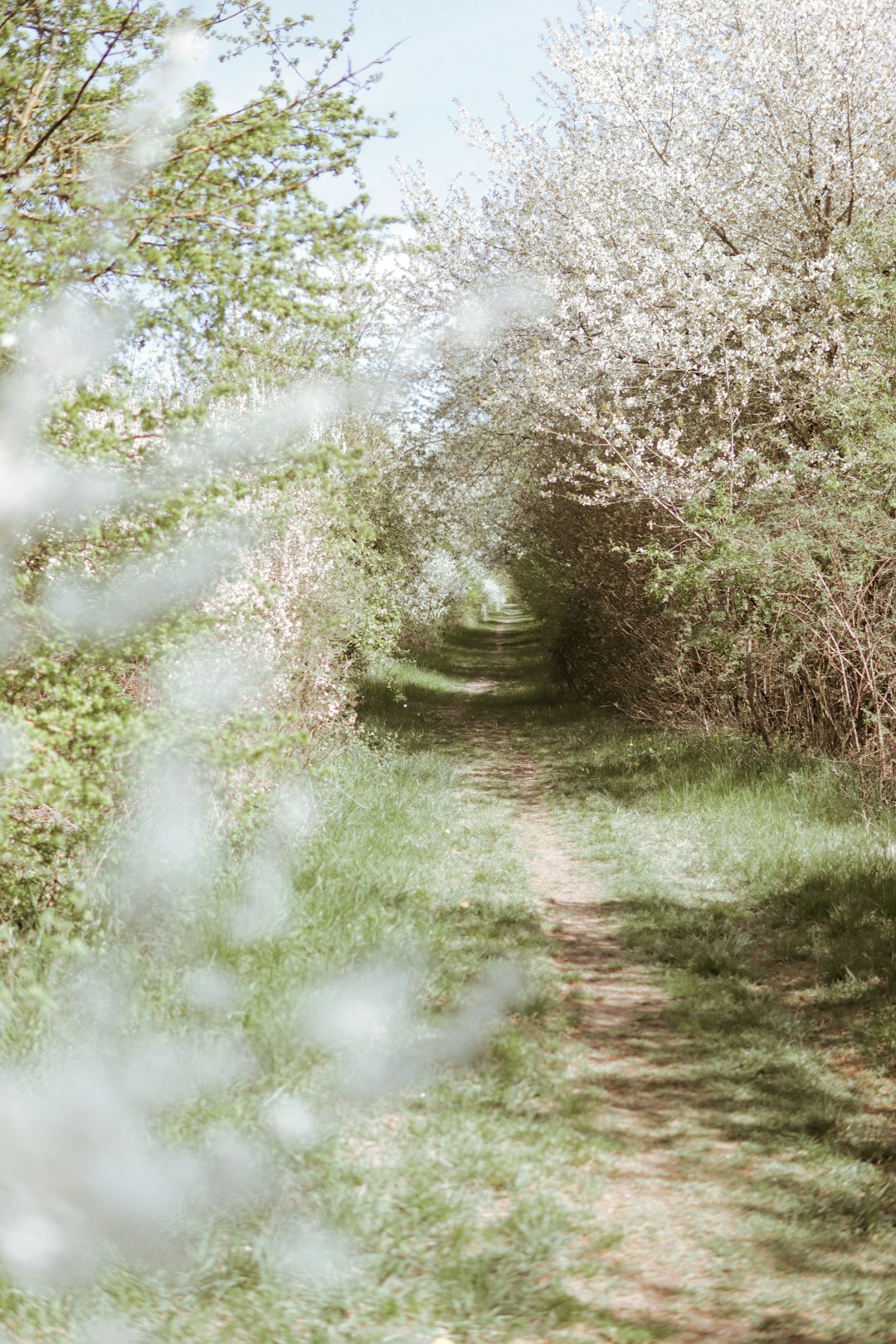 힐스테이트 메디알레 발코니 확장 필수 여부 관련 이미지 2