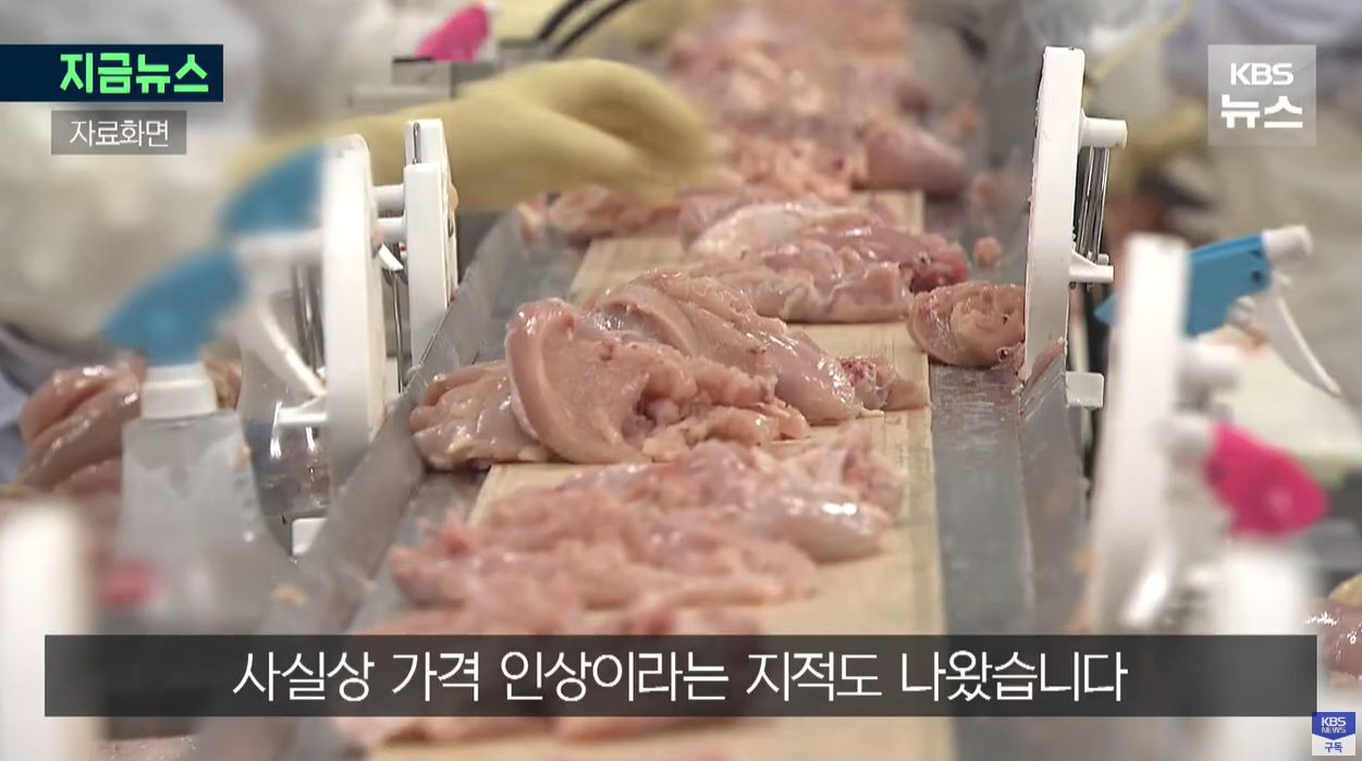 교촌치킨 슈링크플레이션 닭다리살 닭가슴살 원가절감 순살치킨 중량감소 가격동결 치킨논란 외식물가