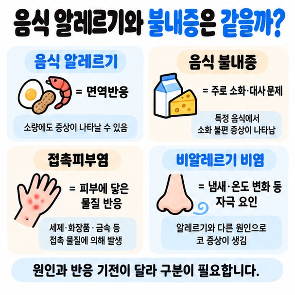 음식 알레르기 음식 불내증 접촉피부염 비알레르기 비염의 차이를 정리한 이미지