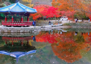 2024년 단풍절정시기