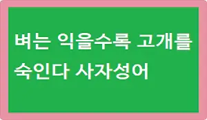 벼는 익을수록 고개를 숙인다 사자성어