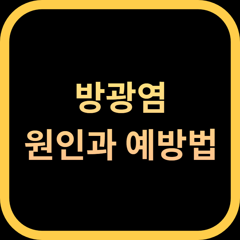 방광염원인및예방법