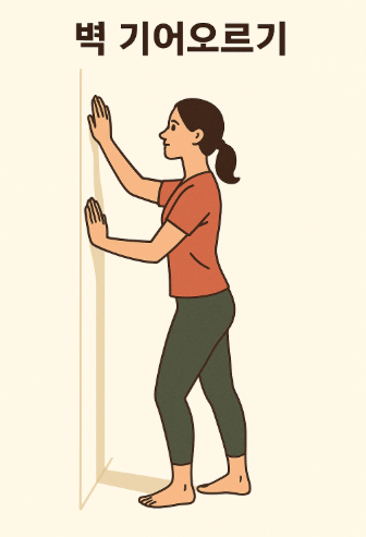 벽 기어 오르기