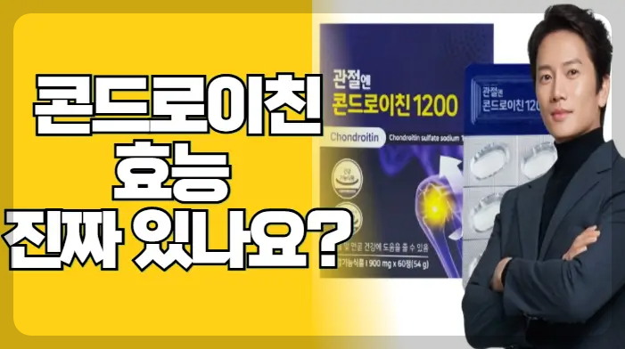 콘드로이친 효능