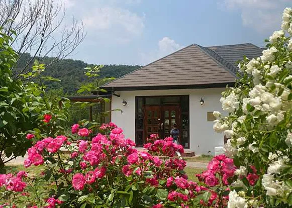 카페 여주