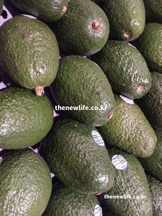 아보카도 효능 부종 완화 칼륨