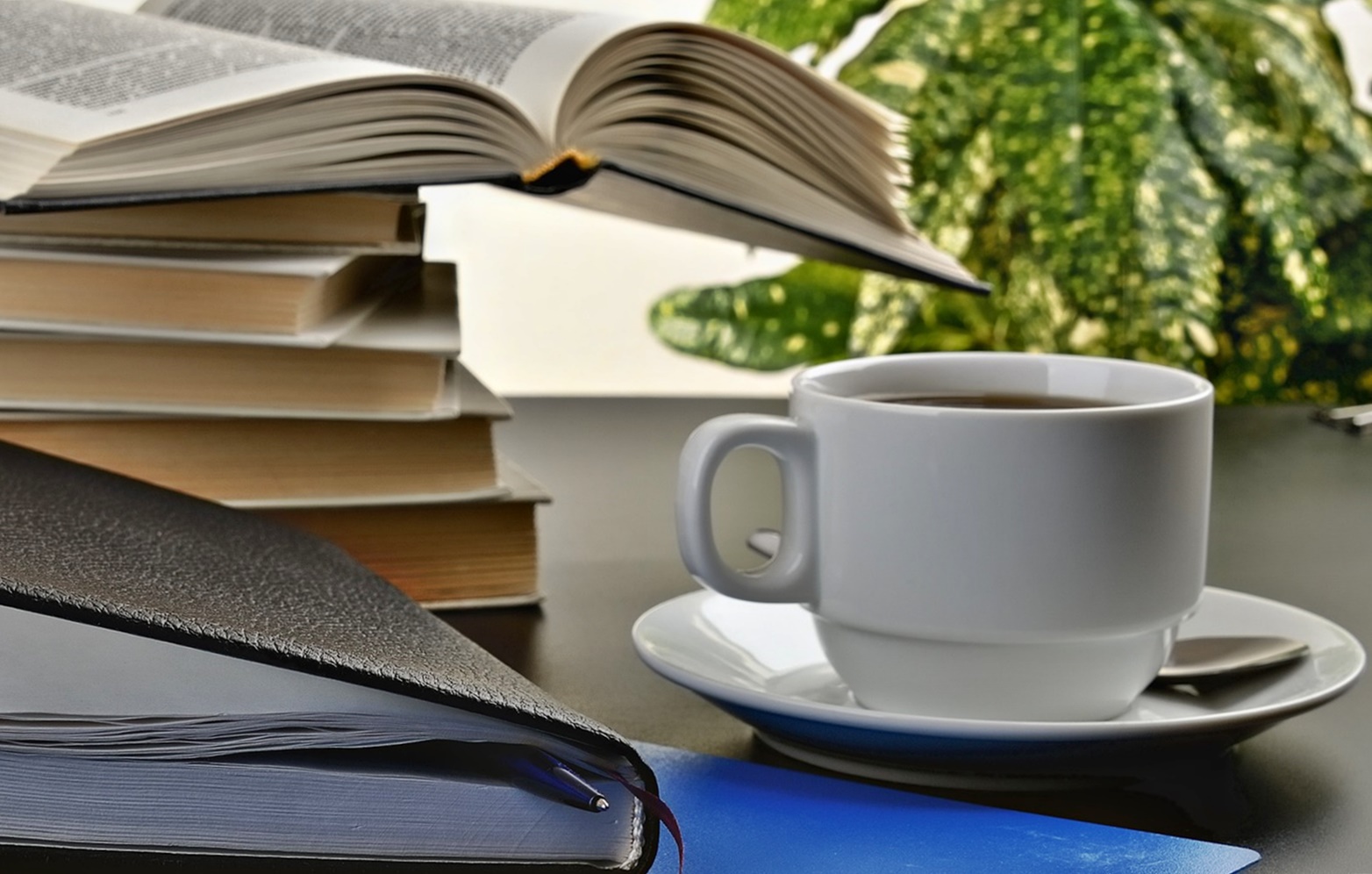 잘 버틴 인생은 실패가 아니라 실력이다 