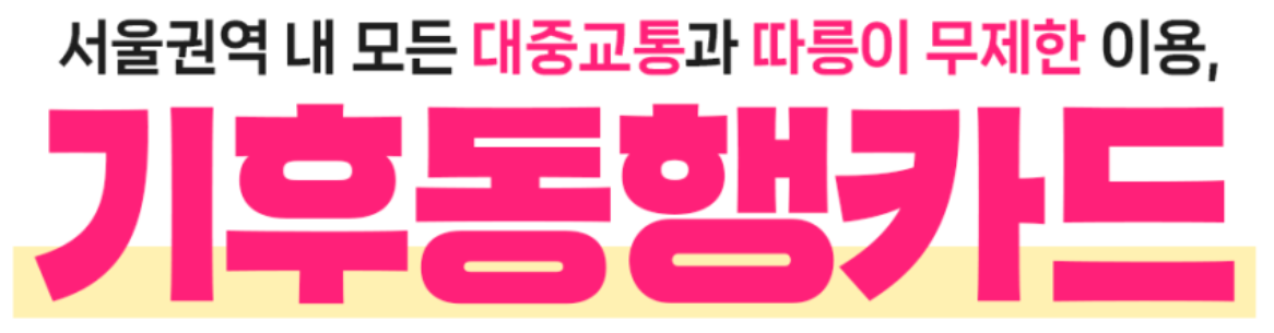 기후동행카드