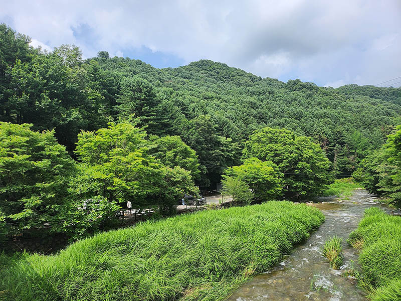 힐링별밤수목원캠핑장 소개