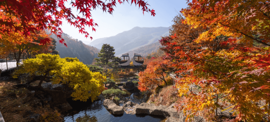 가을 축제 가볼만한 곳
