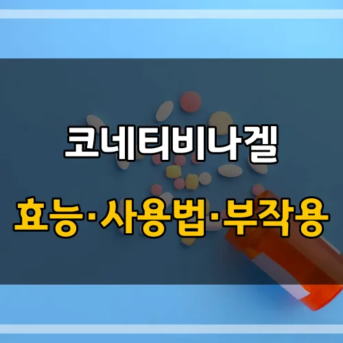 코네티비나겔_썸네일_이미지