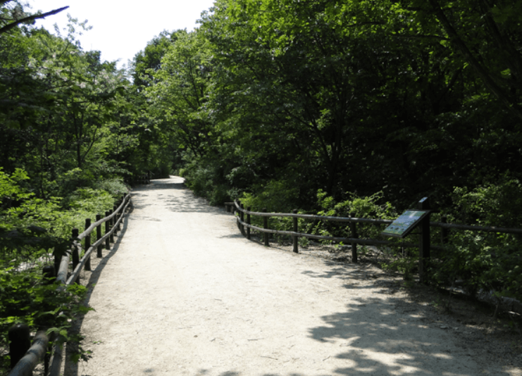 북한산 우이령길